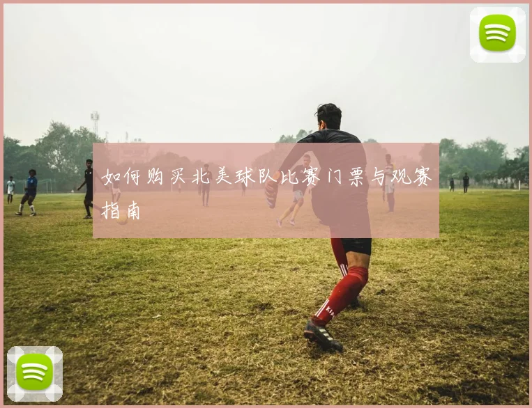 如何购买北美球队比赛门票与观赛指南